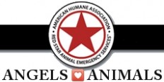 ANGEL AWARENESS